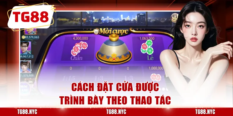 Xóc Đĩa TG88 - Hướng Dẫn Chơi Nhanh, Dễ Hiểu, Trúng Lớn 3 Cách đặt cửa được trình bày theo thao tác