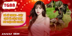 Đá Gà Thomo - Luật Chơi Và Cách Theo Dõi Trận Đấu Chuẩn