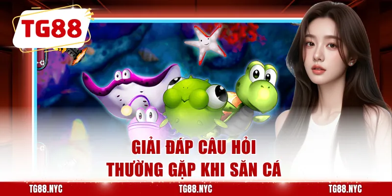 Giải đáp câu hỏi thường gặp khi săn cá