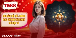 Soi Cầu Xổ Số - Cách Đọc Dữ Liệu Và Chọn Số Hợp Lý