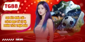 Soi Kèo Nhà Cái - Cách Đọc Tỷ Lệ Và Phân Tích Trận Đấu
