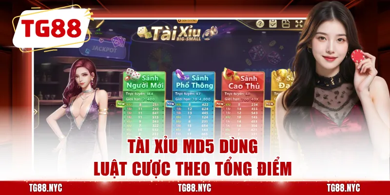 Tài Xỉu MD5 - Luật Chơi Và Cách Đọc Kết Quả Chi Tiết 2 Tài xỉu MD5 dùng luật cược theo tổng điểm