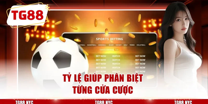 Kèo FT 1x2 - Cách Đọc Cửa Cược Toàn Trận Dễ Hiểu Nhất 3 Tỷ lệ giúp phân biệt từng cửa cược