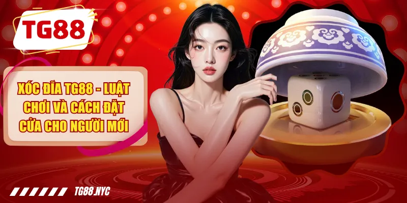 Xóc Đĩa TG88 - Hướng Dẫn Chơi Nhanh, Dễ Hiểu, Trúng Lớn 1 Xóc Đĩa TG88 - Luật Chơi Và Cách Đặt Cửa Cho Người Mới